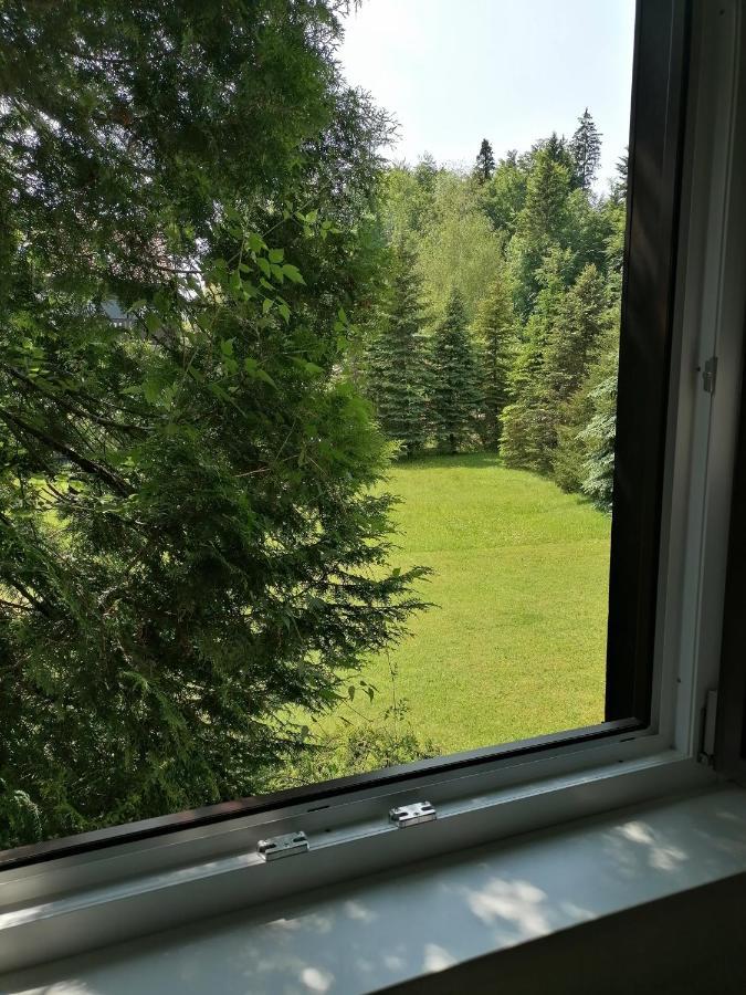 Haus Aschau Apartment Bad Ischl Exterior foto